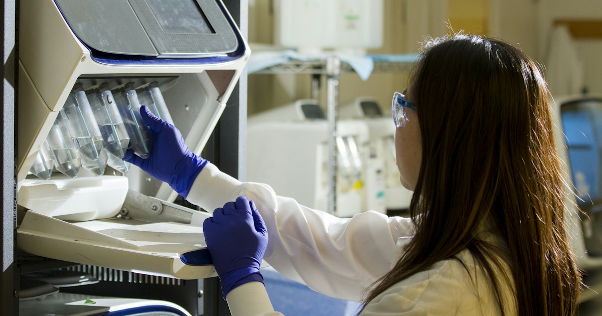 How to prepare for the «GGT» test: rules for taking it